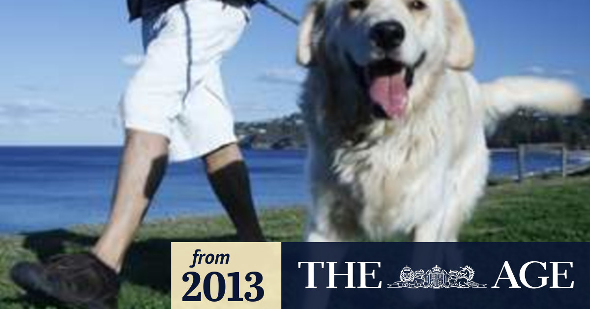 Total ban on dogs at Mornington park